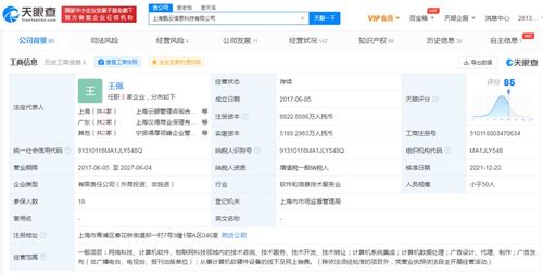 電子產(chǎn)品的技術(shù)開發(fā)與銷售 創(chuàng)新驅(qū)動與市場策略